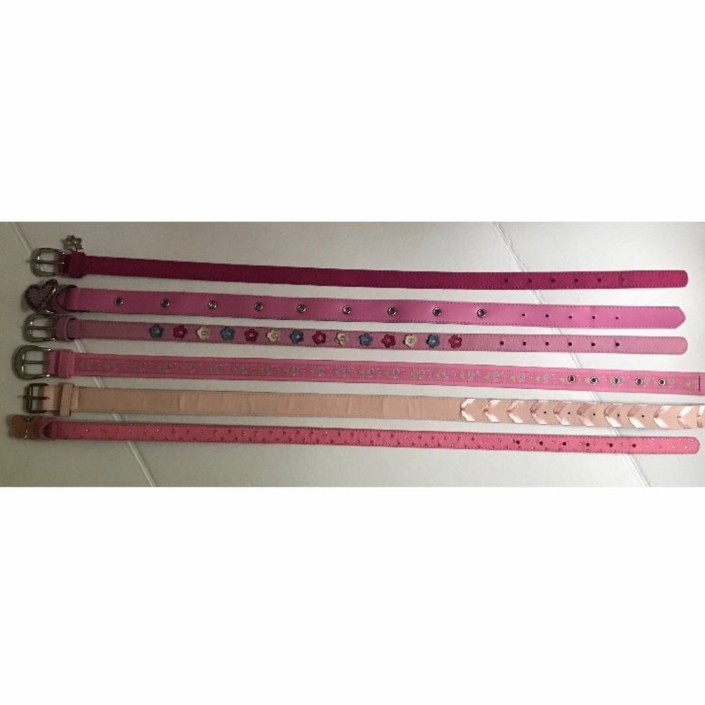 Bundle of 12 Belts